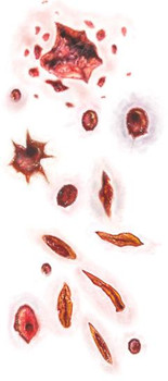 Shot and Stabbed Temporary Tattoos