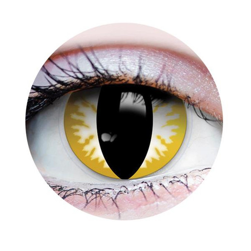 Thriller Cat Eye | Costume Contacts | Primal Contact Lenses