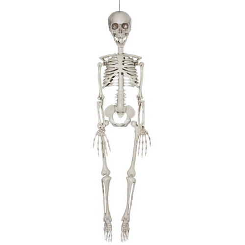 Posable Skeleton 35"  | Halloween | Décor