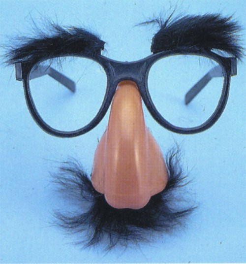 Groucho Costume Glasses