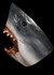 JAWS Bruce the Shark Deluxe Latex Collectors Mask Left Side View