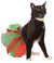 Christmas Pet Tutu in Red and Green