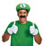 Adult Luigi Accessory Kit With Hat Gloves and Mustache (ALT)