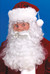 Santa Beard/Wig Set