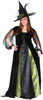 Goth Witch Plus Size Costume