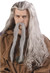 Long Grey Wizard Wig