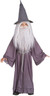 Children's Gandalf the Grey Lord of the Rings Costume