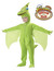 Toddler/Children's Tiny Dinosaur Train Pterodactyl Costume