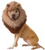 Animal Planet Lion Costume