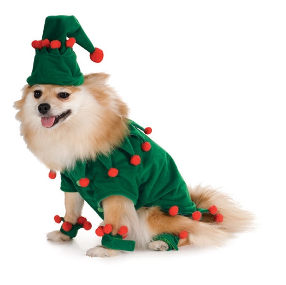 Christmas Elf Pet Costume