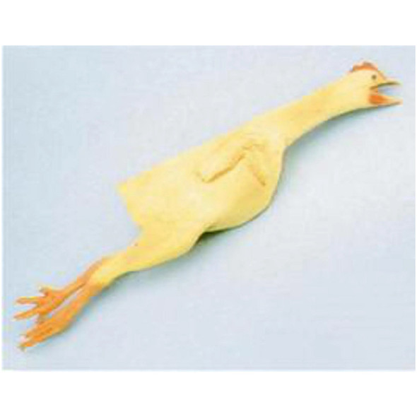 Fake Rubber Chicken - At The Costume Shoppe