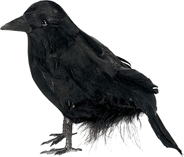 Raven | Halloween | Decor