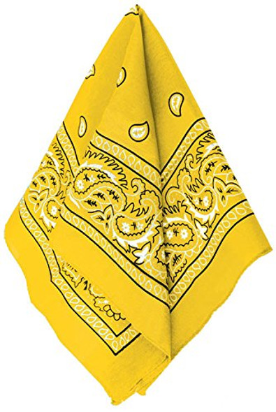 Paisley Orange Bandana | Western | Hats and Headpieces - The