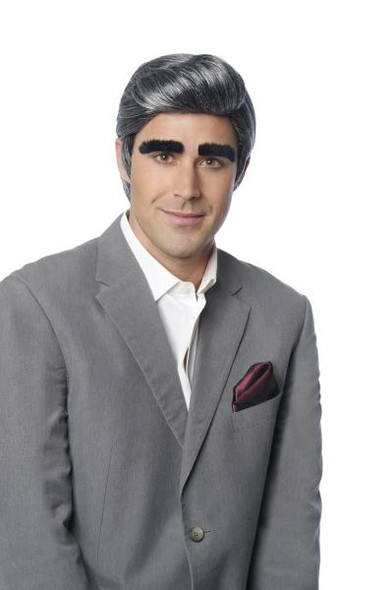 Johnny Wig With Eyebrows | Schitts Creek | Wigs