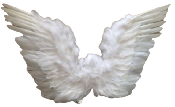 White Feather Wings | Angels and Devils | Costume Pieces and Kits