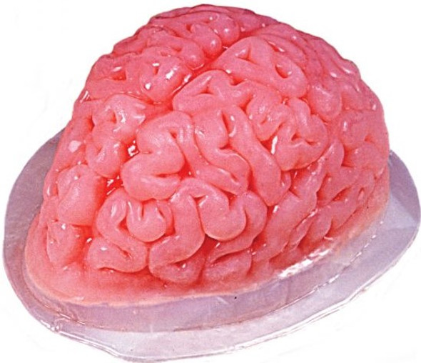 Brain Gelatin Mold | Casting | Cosplay Supplies