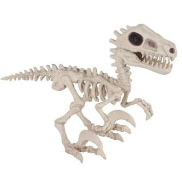 Raptor Dino Skeleton 5.5" | Halloween Decorations | Decor