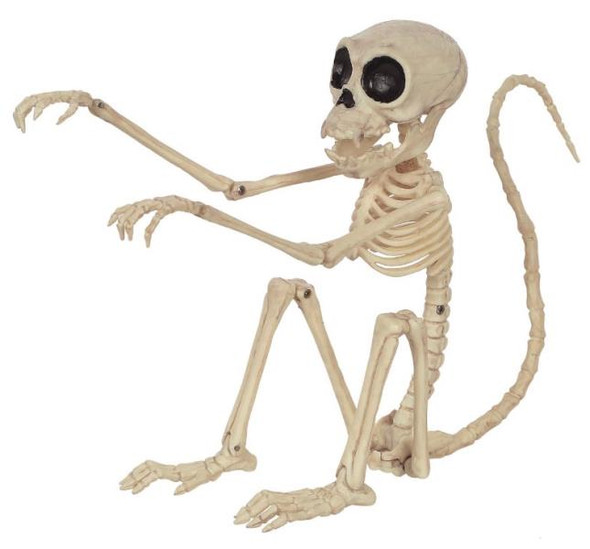 Monkey Skeleton 7.25" | Halloween Decorations | Decor