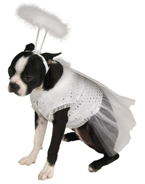 Angel Pet Costume | Seasonal & Christmas | Pet Costumes