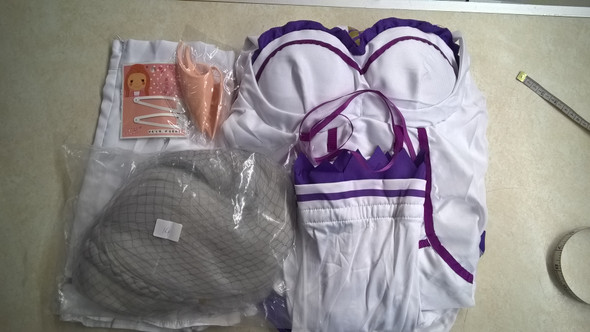 Emilia Re Zero Sample Costume | Re Zero | Womens Costumes