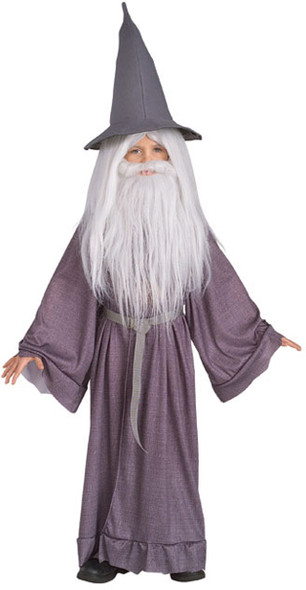 Children's Gandalf the Grey Lord of the Rings Costume