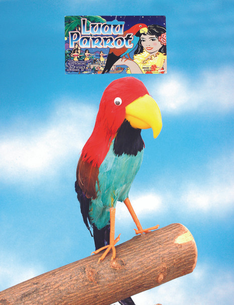 Pirate Parrot Accessory Prop