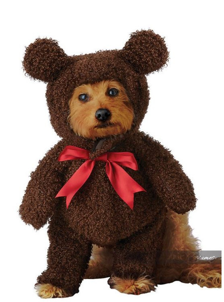 Fuzzy Teddy Bear Dog Costume