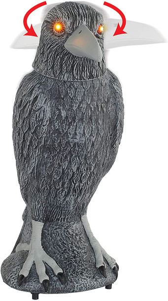 Spooky Raven with Light Up and Sound | Decor | Novelty and Decor