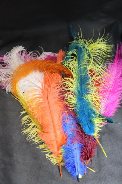 Feather XL | Cosplay Supplies