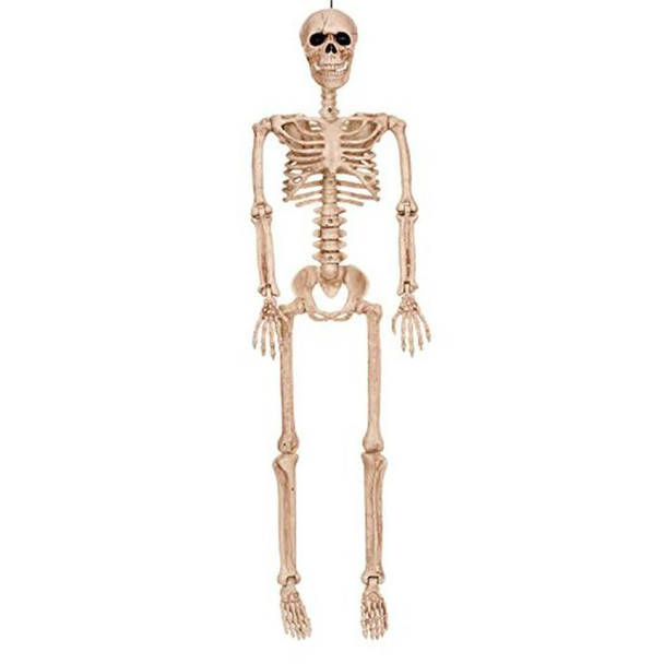 Skeleton 36" Realistic Looking | Halloween | Décor