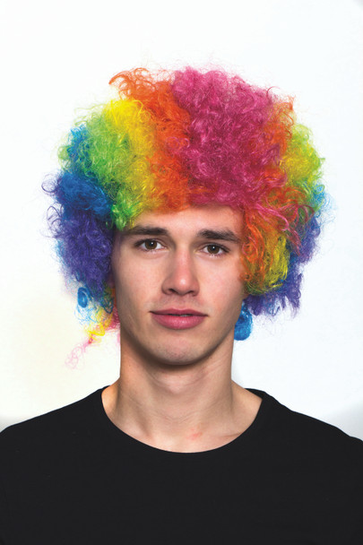 Multi Colored Rainbow Afro Clown Wig | Circus | Character Wigs