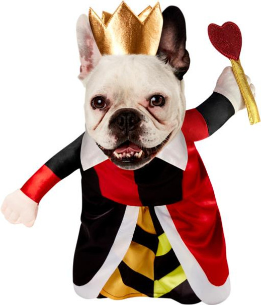 Queen Of Hearts Pet Costume | Alice in Wonderland | Animal Costumes
