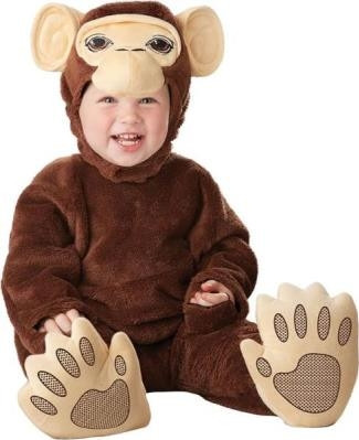LAST OF | Chimpanzee (IN)