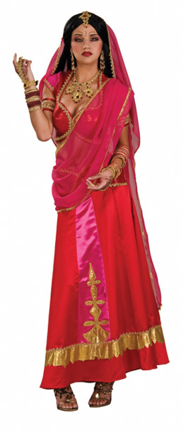 Bollywood East Indian Sari Costume