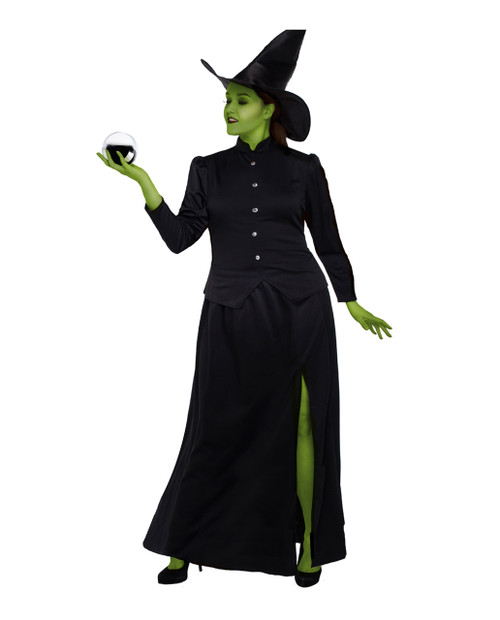 Brand New Rich Witch Plus Size Adult Costume