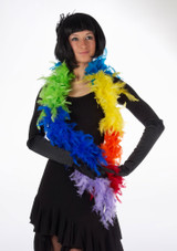 Boa en plumes Principal [Multicolore]