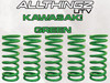 CAN AM X3 XRS 2 SEAT TENDER SPRING KIT