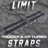 POLARIS RZR 1000XP and XP Turbo Limit Strap Kit