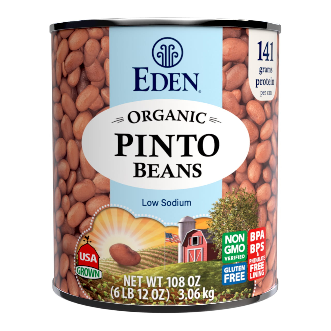 Pinto Beans organic, 108 oz