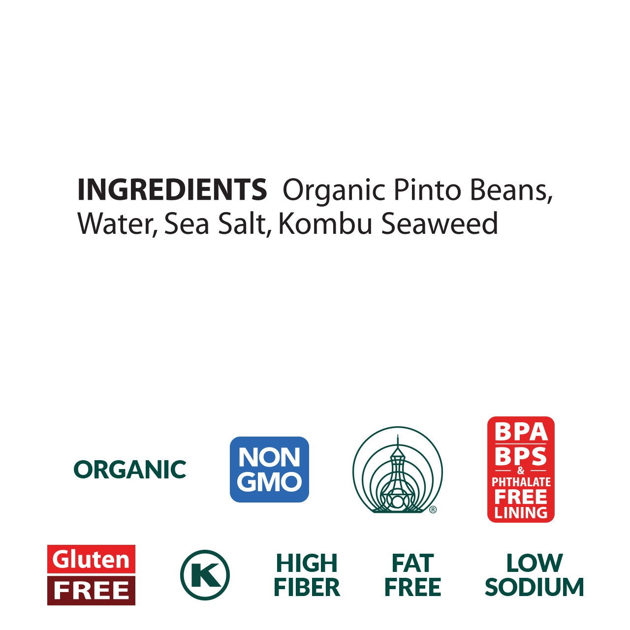Pinto Beans organic, 108 oz