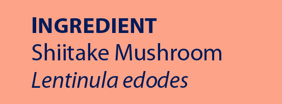 Sliced Shiitake Mushrooms, dried - Eden Foods