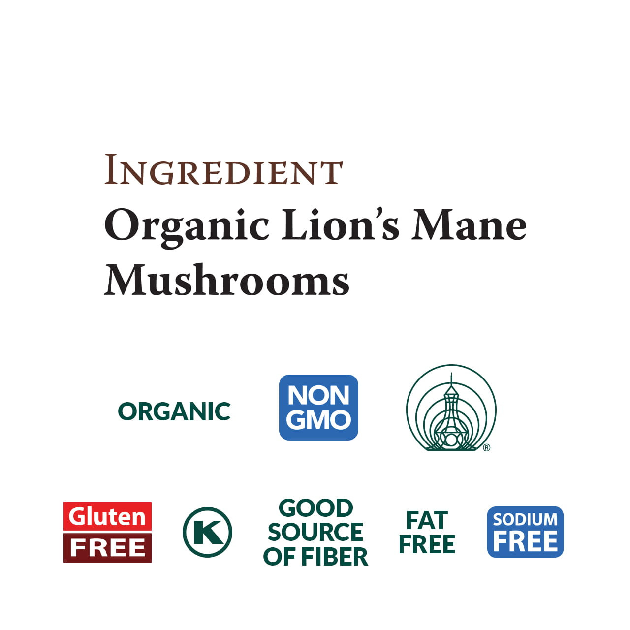 Lion's Mane Mushrooms organic, dried