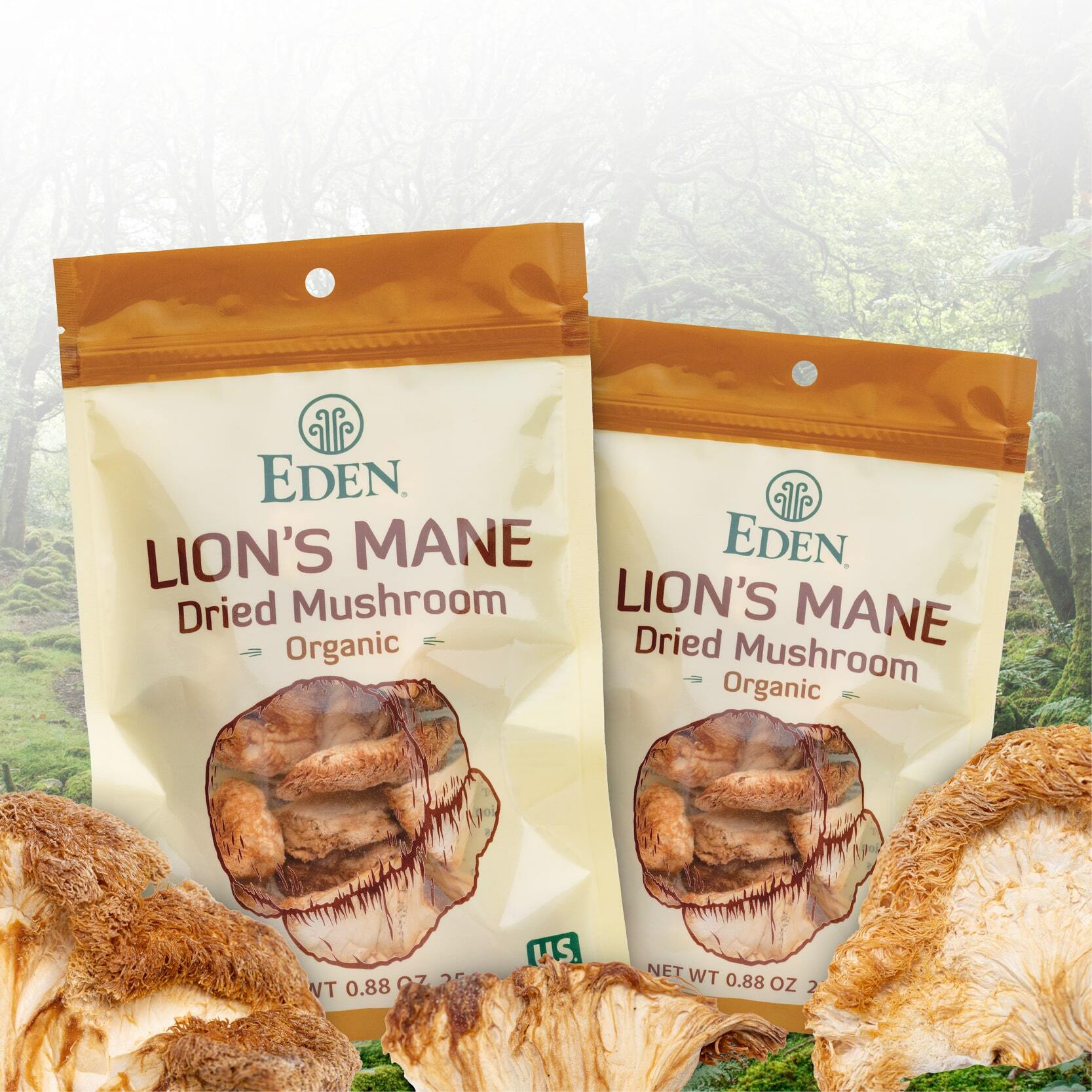 Organic Dried Lions Mane Mushroom