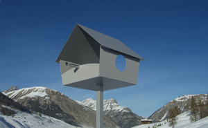 Piep Show for XXL Bird House Silver Piep Show for XXL Bird House Silver