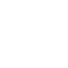 Overlay Icon