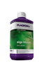 Plagron Alga Bloom - 1L