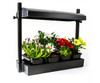 Sunblaster Micro LED Grow Light Garden - Black