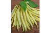 Page's Organic Seeds - Bush Bean (Golden Wax)