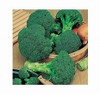 Page's Organic Seeds - Broccoli (Calabrese Green)