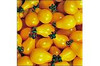 Page's Organic Seeds - Tomato (Yellow Pear)